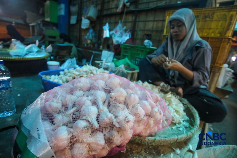 Pekerja mengupas bawang putih di Pasar Induk Kramat Jati, Jakarta, Kamis (16/7/2026). Badan Pusat Statistik (BPS) mencatat Indonesia masih sangat bergantung pada China untuk memenuhi kebutuhan impor bawang putih. (CNBC Indonesia/Faisal Rahman)
