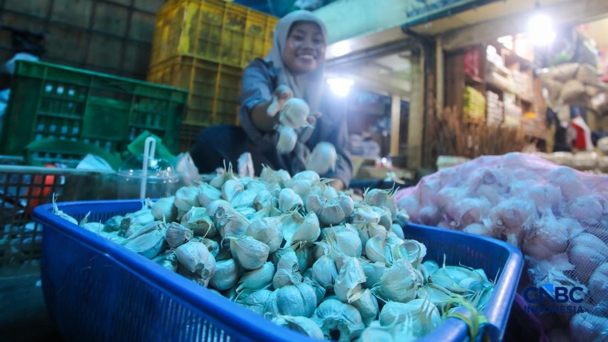 Wamentan Targetkan RI Swasembada Bawang Putih-Daging Sapi di 2027