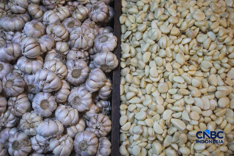 Pekerja mengupas bawang putih di Pasar Induk Kramat Jati, Jakarta, Kamis (16/7/2026). Badan Pusat Statistik (BPS) mencatat Indonesia masih sangat bergantung pada China untuk memenuhi kebutuhan impor bawang putih. (CNBC Indonesia/Faisal Rahman)