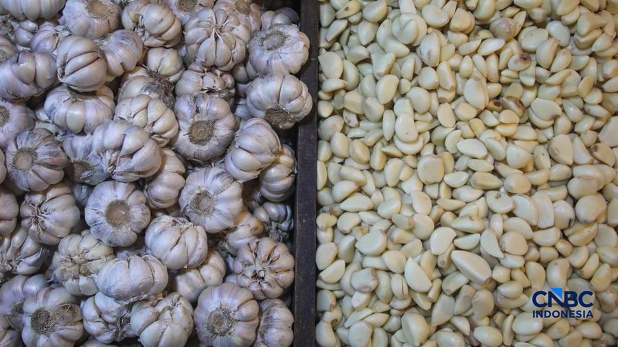Pekerja mengupas bawang putih di Pasar Induk Kramat Jati, Jakarta, Kamis (16/7/2026). Badan Pusat Statistik (BPS) mencatat Indonesia masih sangat bergantung pada China untuk memenuhi kebutuhan impor bawang putih. (CNBC Indonesia/Faisal Rahman)