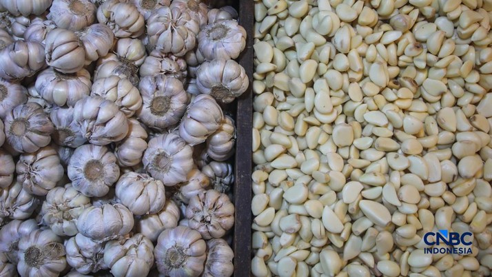 Pekerja mengupas bawang putih di Pasar Induk Kramat Jati, Jakarta, Kamis (16/7/2026). Badan Pusat Statistik (BPS) mencatat Indonesia masih sangat bergantung pada China untuk memenuhi kebutuhan impor bawang putih. (CNBC Indonesia/Faisal Rahman)