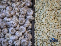Pekerja mengupas bawang putih di Pasar Induk Kramat Jati, Jakarta, Kamis (16/7/2026). Badan Pusat Statistik (BPS) mencatat Indonesia masih sangat bergantung pada China untuk memenuhi kebutuhan impor bawang putih. (CNBC Indonesia/Faisal Rahman)