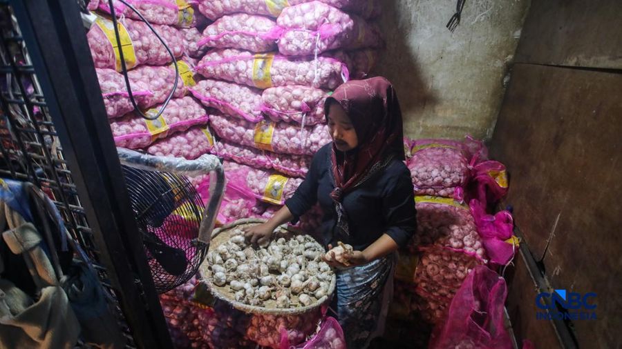 Pekerja mengupas bawang putih di Pasar Induk Kramat Jati, Jakarta, Kamis (16/7/2026). Badan Pusat Statistik (BPS) mencatat Indonesia masih sangat bergantung pada China untuk memenuhi kebutuhan impor bawang putih. (CNBC Indonesia/Faisal Rahman)