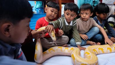 Edukasi Reptil Ajak Anak TK Berani dan Peduli Satwa