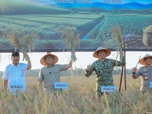 Dukung Swasembada, Gubernur Lampung-Pangdam XXI/Radin Inten Ikut Panen Raya
