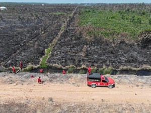 Karhutla di OKI Meluas hingga 20 Hektare Lahan Terbakar, Api Belum Padam