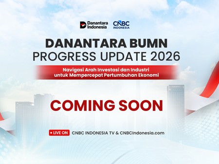 Danantara BUMN Progress Update