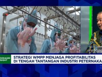 Genjot Pendapatan Hingga Rp 8 Triliun, Bisnis Sapi & Ayam Cari Modal Lewat Right Issue
