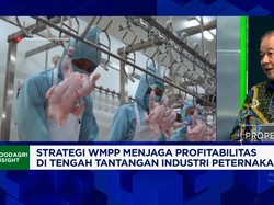 Genjot Pendapatan Hingga Rp 8 Triliun, Bisnis Sapi & Ayam Cari Modal Lewat Right Issue