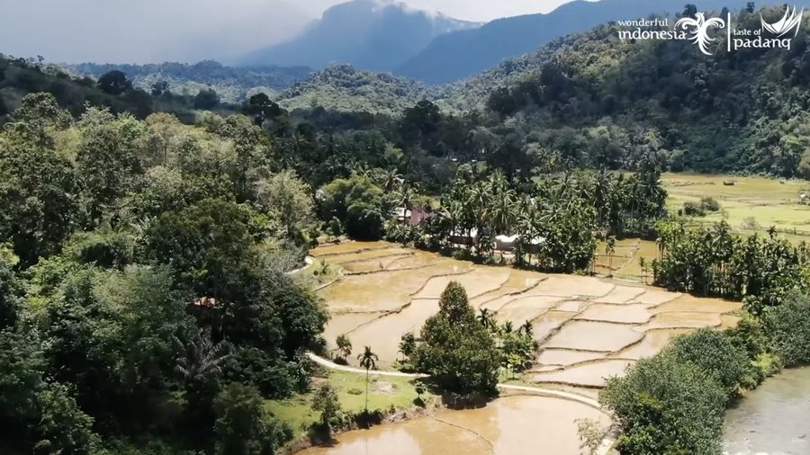 Foto: Salah satu sudut di Kabupaten Dharmasraya, Provinsi Sumatra Barat. (Tangkapan Layar YouTube Dinas Pariwisata Provinsi Sumatra Barat)