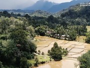 Foto: Salah satu sudut di Kabupaten Dharmasraya, Provinsi Sumatra Barat. (Tangkapan Layar YouTube Dinas Pariwisata Provinsi Sumatra Barat)