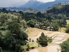 Foto: Salah satu sudut di Kabupaten Dharmasraya, Provinsi Sumatra Barat. (Tangkapan Layar YouTube Dinas Pariwisata Provinsi Sumatra Barat)
