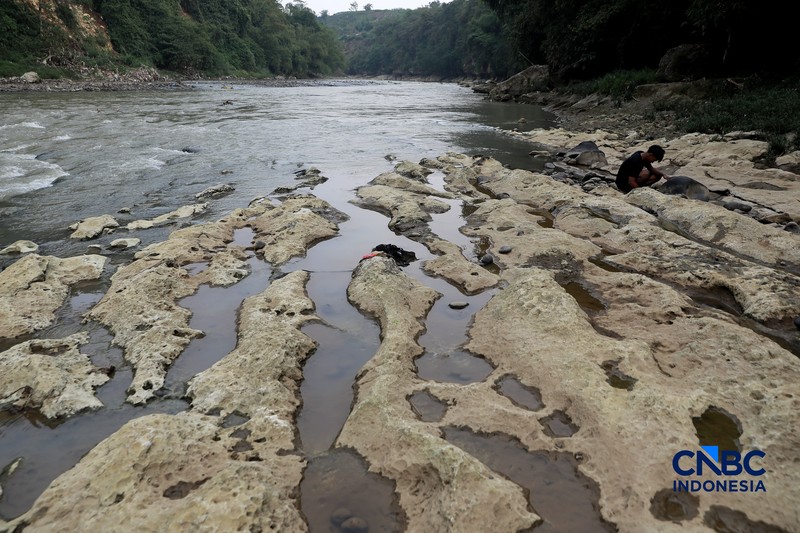 Musim kemarau mulai berdampak pada menyusutnya debit Sungai Cisadane yang melintasi Desa Kampung Sawah, Kecamatan Rumpin, Kabupaten Bogor, Jawa Barat, Senin (20/7/2026). (CNBC Indonesia/Muhammad Sabki)