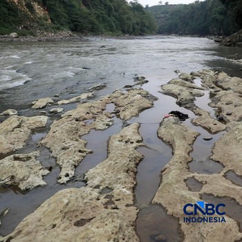 Horor! Sungai Cisadane di Bogor Mengering, Batuan Besar Bermunculan