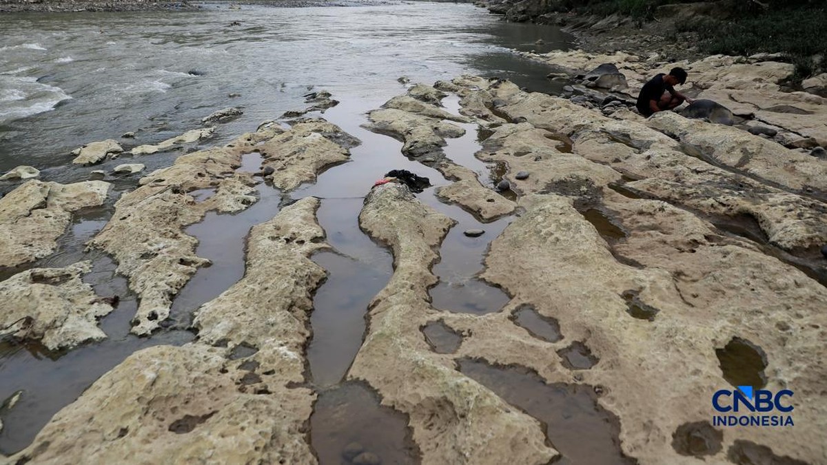 Horor! Sungai Cisadane di Bogor Mengering, Batuan Besar Bermunculan 