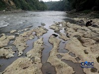 Horor! Sungai Cisadane di Bogor Mengering, Batuan Besar Bermunculan