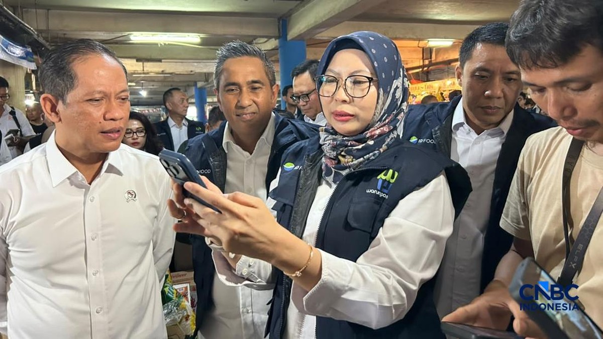 MBG Jalan Lagi, Wamenko Pangan Ungkap Efeknya ke Harga Telur Ayam