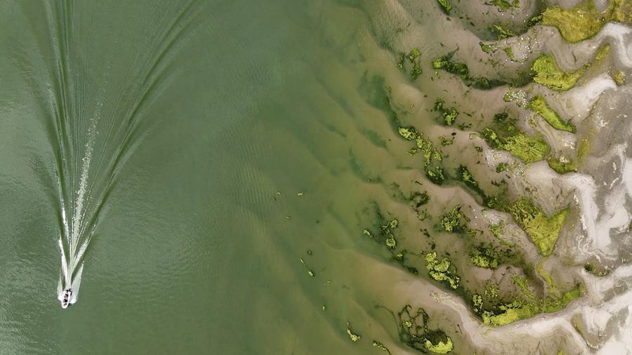 Permukaan udara Sungai Danube di Rumania turun ke tingkat terendah dalam tiga dekade terakhir. (Inquam Photos/Ovidiu Micsik via REUTERS)