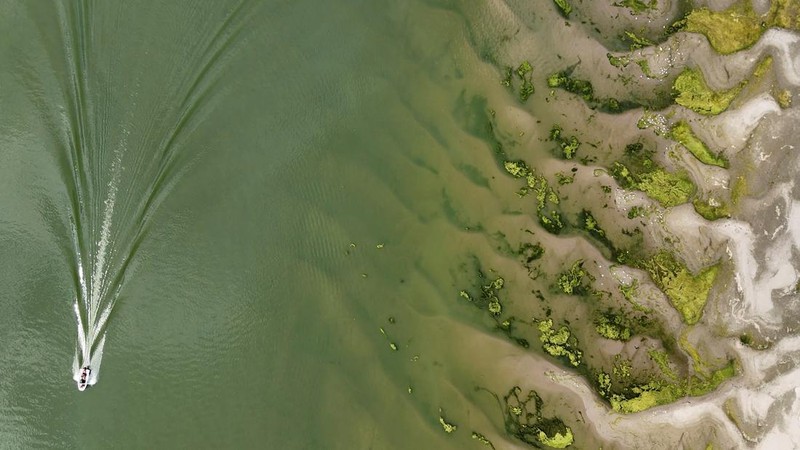 Permukaan udara Sungai Danube di Rumania turun ke tingkat terendah dalam tiga dekade terakhir. (Inquam Photos/Ovidiu Micsik via REUTERS)