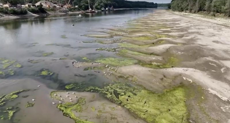 Permukaan udara Sungai Danube di Rumania turun ke tingkat terendah dalam tiga dekade terakhir. (Inquam Photos/Ovidiu Micsik via REUTERS)