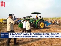 RI ingin Sukses Terapkan Bensin dari Tebu hingga Jagung