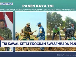 TNI Kawal Ketat Program Swasembada Pangan