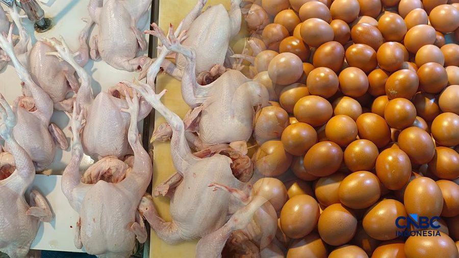 Foto kolase daging ayam dan telur. (CNBC Indonesia)