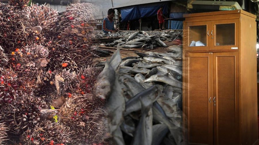Foto kolase sawit, ikan, dan furniture. (CNBC Indonesia)