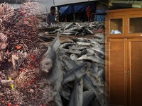 Foto kolase sawit, ikan, dan furniture. (CNBC Indonesia)