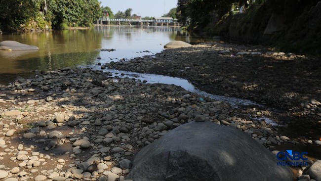 Bendung Katulampa Kering Kerontang, Sungai Bak Daratan-Warga Ketakutan