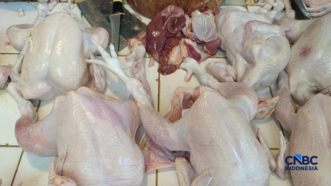 Harga Telur-Daging Ayam Pelan-Pelan Naik, Bukti MBG Bawa Berkah?