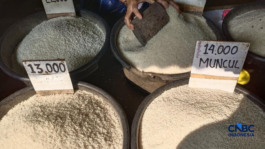 Pantauan harga pangan di Pasar Rumput, Jakarta Selatan, Selasa (21/7/2026). (CNBC Indonesia/Martyasari Rizky)