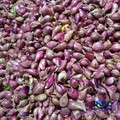 Pantauan harga pangan di Pasar Rumput, Jakarta Selatan, Selasa (21/7/2026). (CNBC Indonesia/Martyasari Rizky)