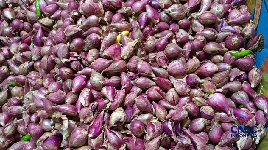 Pantauan harga pangan di Pasar Rumput, Jakarta Selatan, Selasa (21/7/2026). (CNBC Indonesia/Martyasari Rizky)