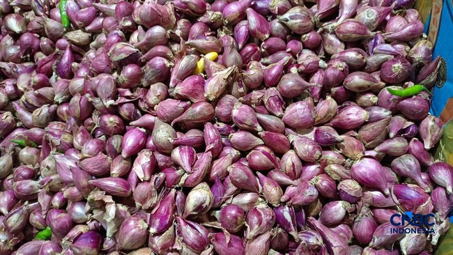 Harga Pangan di Jakarta Hari Ini: Cek Update Bawang Merah-Cabai Rawit