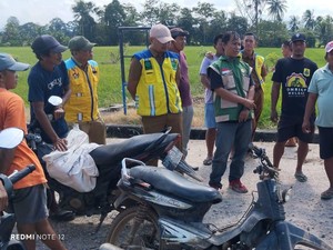 75 Hektare Sawah di Pinrang Alami Kekeringan Parah