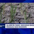 El Nino Mengancam Listrik, Pangan & Ekonomi, RI Harus Waspada!