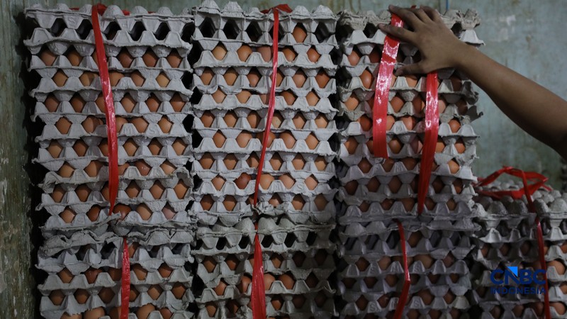 Harga telur ayam di Pasar Tradisional di Pasar Kebayoran Lama, Jakarta kembali mengalami kenaikan setelah masa libur sekolah berakhir, Rabu (22/7/2026). (CNBC Indonesia/Tri Susilo)