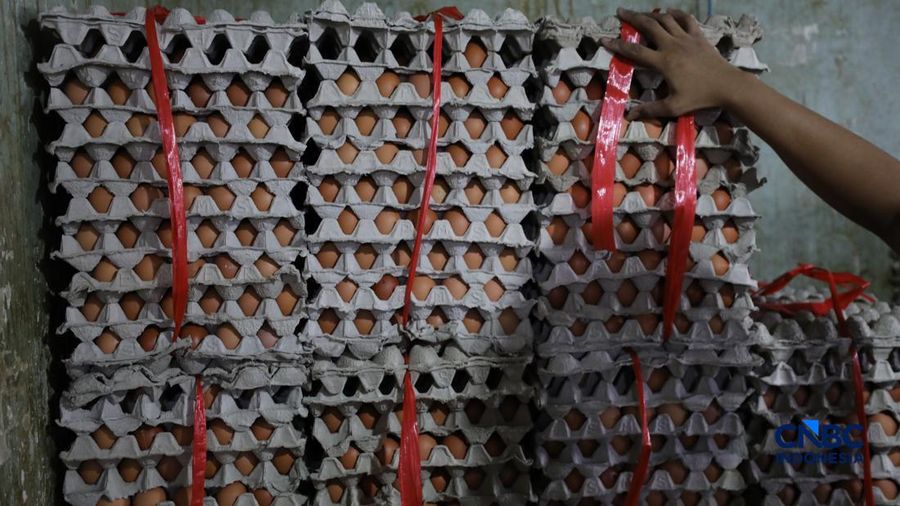 Harga telur ayam di Pasar Tradisional di Pasar Kebayoran Lama, Jakarta kembali mengalami kenaikan setelah masa libur sekolah berakhir, Rabu (22/7/2026).