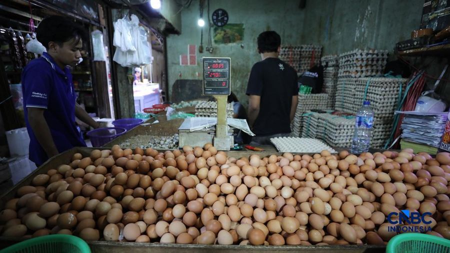 Harga telur ayam di Pasar Tradisional di Pasar Kebayoran Lama, Jakarta kembali mengalami kenaikan setelah masa libur sekolah berakhir, Rabu (22/7/2026).