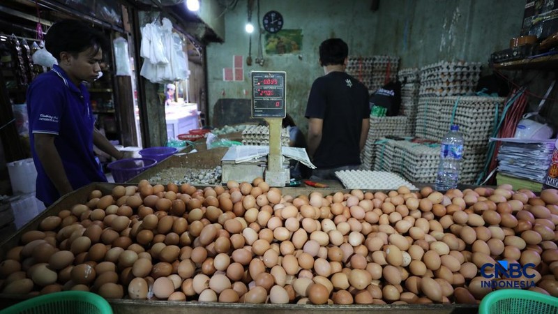 Harga telur ayam di Pasar Tradisional di Pasar Kebayoran Lama, Jakarta kembali mengalami kenaikan setelah masa libur sekolah berakhir, Rabu (22/7/2026).