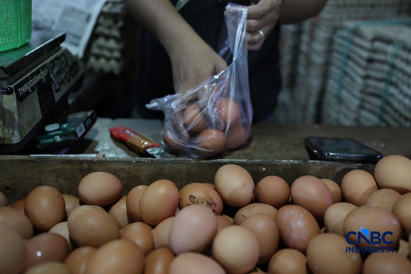 Harga telur ayam di Pasar Tradisional di Pasar Kebayoran Lama, Jakarta kembali mengalami kenaikan setelah masa libur sekolah berakhir, Rabu (22/7/2026). (CNBC Indonesia/Tri Susilo)