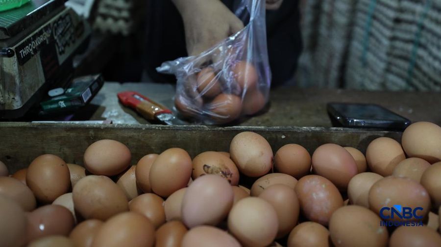 Harga telur ayam di Pasar Tradisional di Pasar Kebayoran Lama, Jakarta kembali mengalami kenaikan setelah masa libur sekolah berakhir, Rabu (22/7/2026).