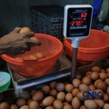 Harga telur ayam di Pasar Tradisional di Pasar Kebayoran Lama, Jakarta kembali mengalami kenaikan setelah masa libur sekolah berakhir, Rabu (22/7/2026). (CNBC Indonesia/Tri Susilo)