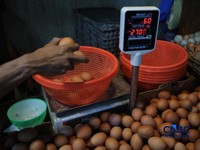 Harga telur ayam di Pasar Tradisional di Pasar Kebayoran Lama, Jakarta kembali mengalami kenaikan setelah masa libur sekolah berakhir, Rabu (22/7/2026). (CNBC Indonesia/Tri Susilo)