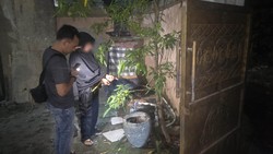 Pria Blitar Diserang Pecahan Botol Kaca Usai Open BO Perempuan via MiChat