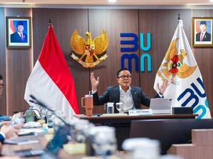 750 BUMN Bakal Ditutup, Bos Danantara Ungkap Skemanya