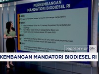 Perkembangan Mandatori Biodiesel RI