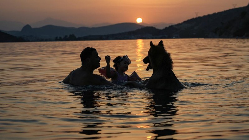 Sebuah keluarga bersama seekor anjing mendinginkan diri di tepi laut saat matahari terbenam, ketika gelombang panas musim panas pertama melanda Yunani, di Vivari, Peloponnese, Yunani, 22 Juli 2026.