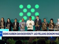 Bisnis Karbon dan Biodiversity Jadi Peluang Ekonomi Masa Depan